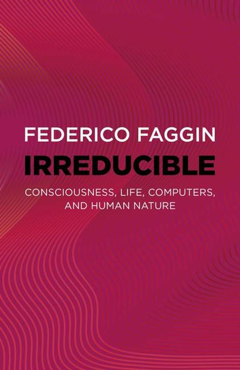 Actual product image Irreducible (English, Federico Faggin, 2024)