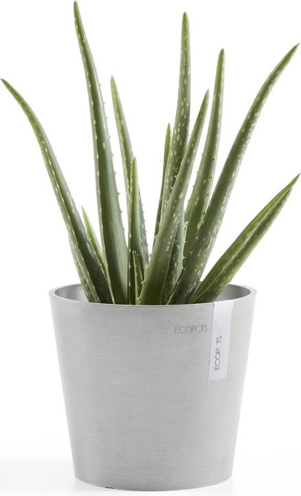 Produktbild Ecopots Amsterdam Mini (17 cm)