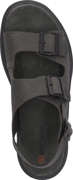 Actual product image Westland 45805-348 (45)