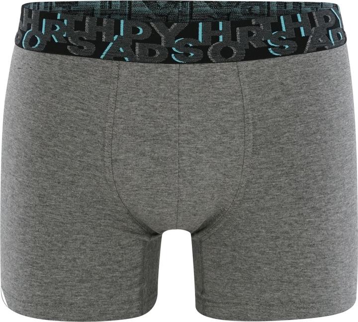 Image du produit Happy shorts Short rétro Trunks (L, lot de 2)