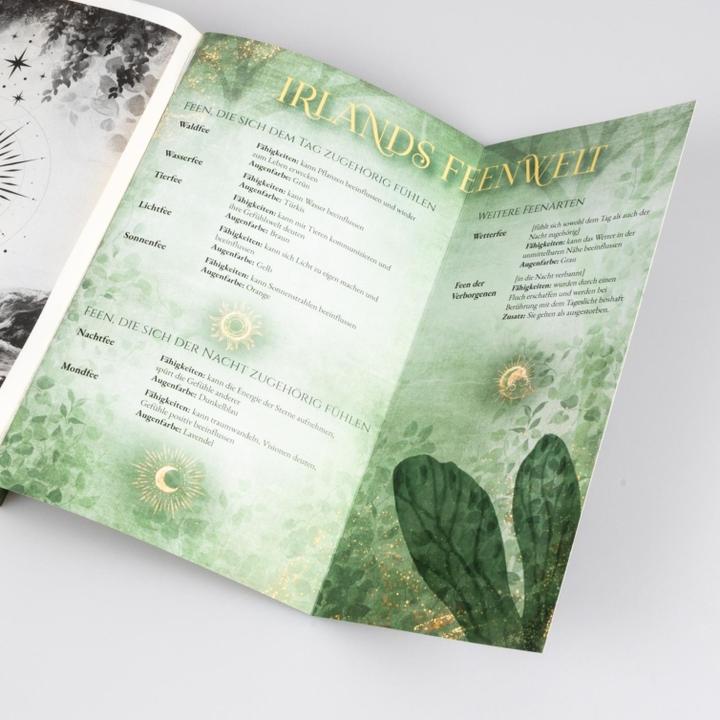 Image du produit Moonlight Academy. Feenzauber (Julia Kuhn, Allemand)