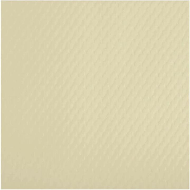 PROnappe Remaining stock: disposable placemat, 400 x 300 mm, ivory (4 x, 30 x 40 cm)