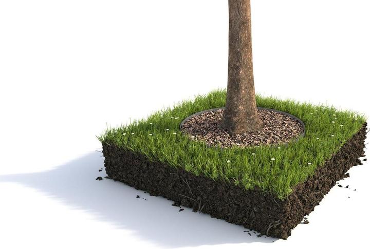 Actual product image Colibri Lawn edging anthracite, 100 x 10 cm x 1.5 mm, set of 10 (100 cm)