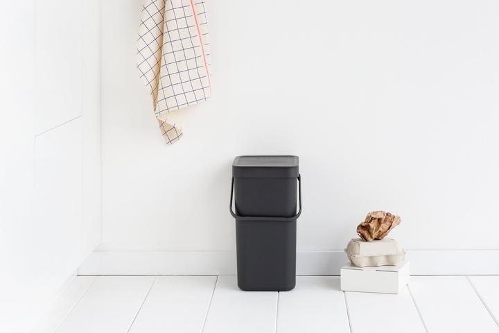 Immagine prodotto Brabantia Ordina e vai (12 l)