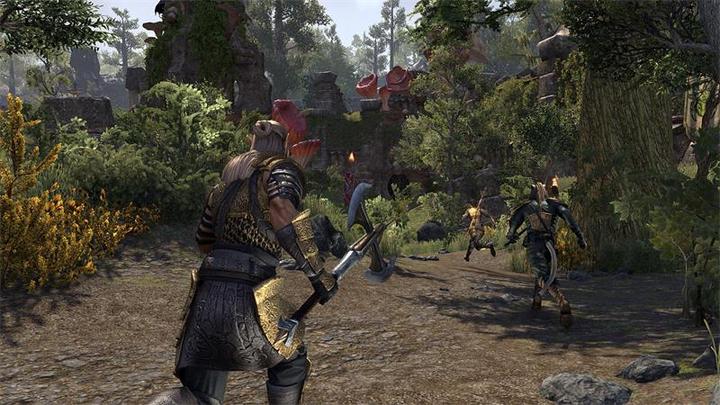 Immagine prodotto Bethesda The Elder Scrolls Online: Morrowind (Xbox One X, Xbox Series X, DE)