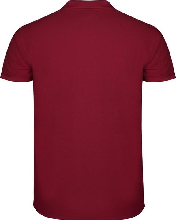 Image du produit Alpinia - Polo STAR - Homme (M)
