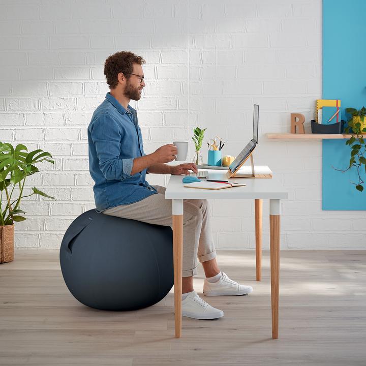 Image du produit Leitz Sitting Ball Ergo Cosy (65 cm)
