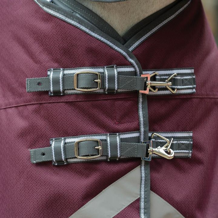 Immagine prodotto Weatherbeeta Comfitec Plus Dynamic Ii Collare Combo Tappeto da Scuderia per Cavalli (190.50 cm)