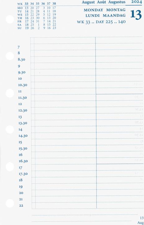 Produktbild Succes Junior Jahresinhalt Januar - Dezember (8 x 12.5 cm, Deutsch, Englisch, Italienisch, Französisch)