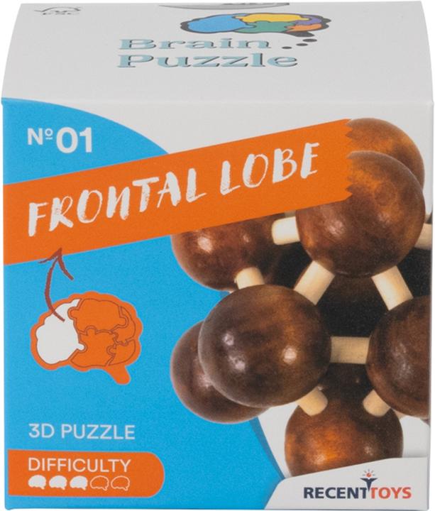 Produktbild Recent Toys Brain Puzzle Nr.1 Frontal Lobe (Deutsch)