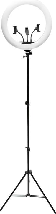 Actual product image Rio Make Up and Vlogging Light RL18