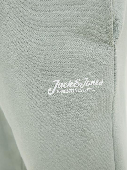 Immagine prodotto Jack & Jones Regular Fit Shorts Shorts (XS)