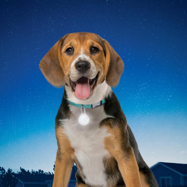 Produktbild Nite Ize SpotLit Collar Light - Disc-O Select (Hund, Allgemein)