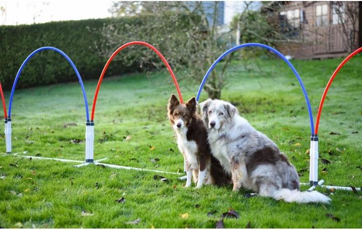 Produktbild Petcenter Hoopers Slalom mit 6 Bögen (One Size, Agility)