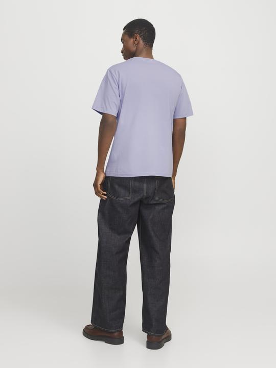 Image du produit Jack & Jones Jorvesterbro Picture Tee Ss Crew Neck Sn (XL)