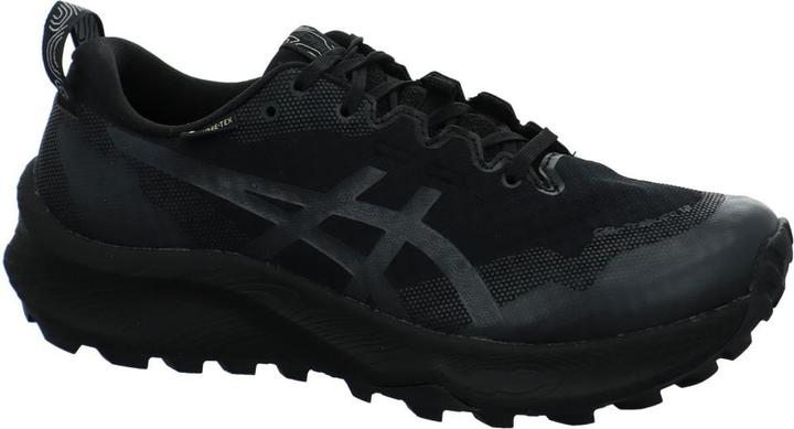 Produktbild ASICS Performance Gel Trabuco GTX (42.5)