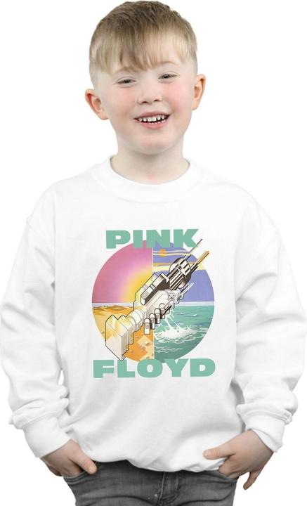 Actual product image Pink Floyd Boys Wish You Were Here Sweatshirt (152, 158)
