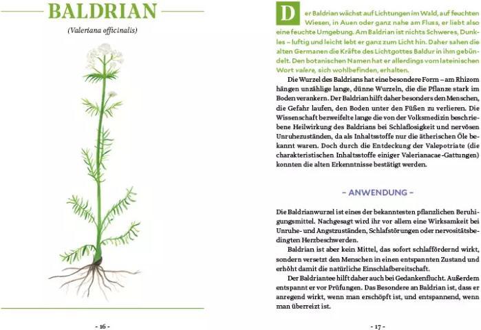 Actual product image Die Kraft der Wurzeln (German, Miriam Cradle, 2020)
