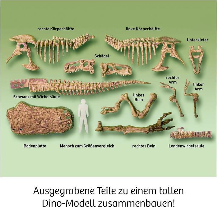 Produktbild Kosmos Experimentierkasten T-Rex 3D