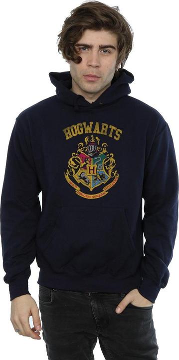 Actual product image Mens Hogwarts Varsity Hoodie (4XL)