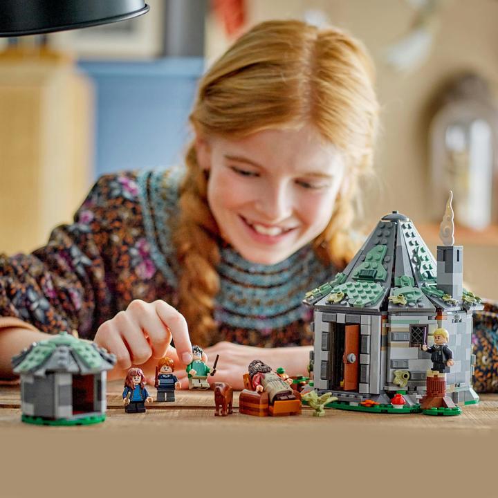 Produktbild LEGO Hagrids Hütte: Ein unerwarteter Besuch (76428, LEGO Harry Potter)