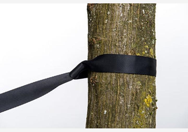 Produktbild Amazonas 2-in-1 Treehugger