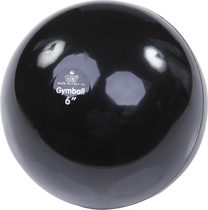 Produktbild Trial ® Gymnastikball (15.24 cm)