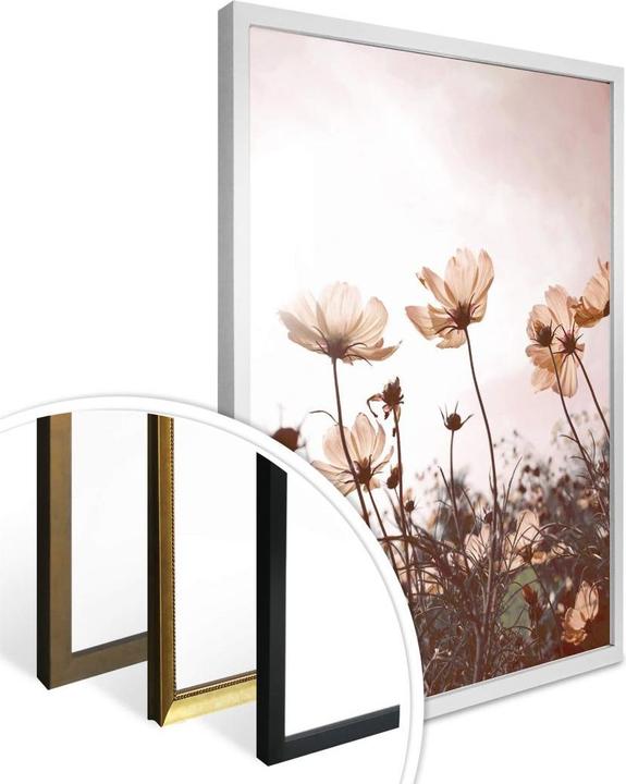 Actual product image Trenddeko Wild meadow (40 x 50 cm)