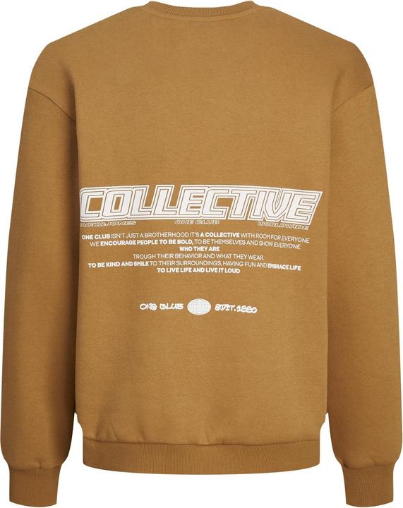 Produktbild Jack & Jones Jorcollect Edt Loose Sweat Crew Jnr (140)