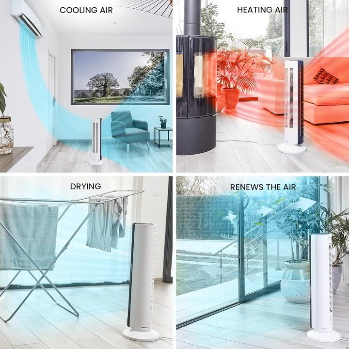 Immagine prodotto Iris Ohyama Ventilatore Woozoo TWFC82T