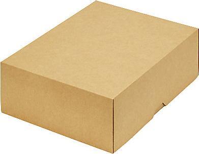 Immagine prodotto Ratioform Stülpdeckelkarton (B5, 2000 x)