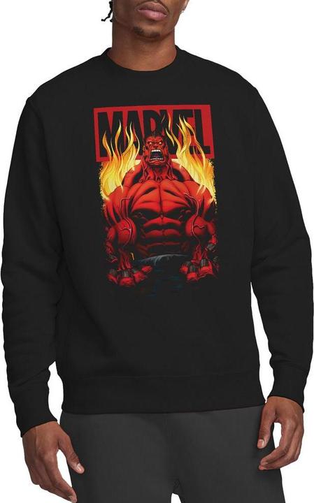 Image du produit - Sweat - Adulte (S)