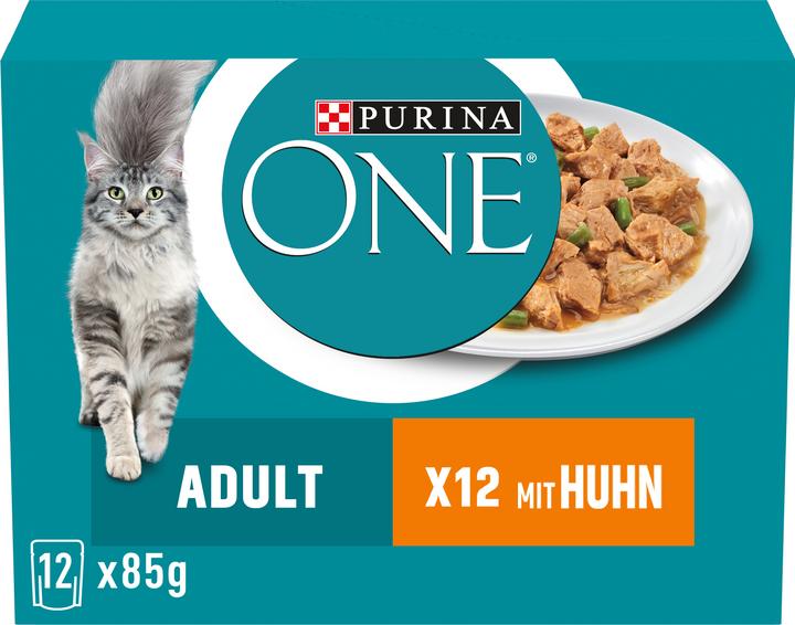 Produktbild Purina ONE Adult (Adult, 1 Stk., 1160 g)