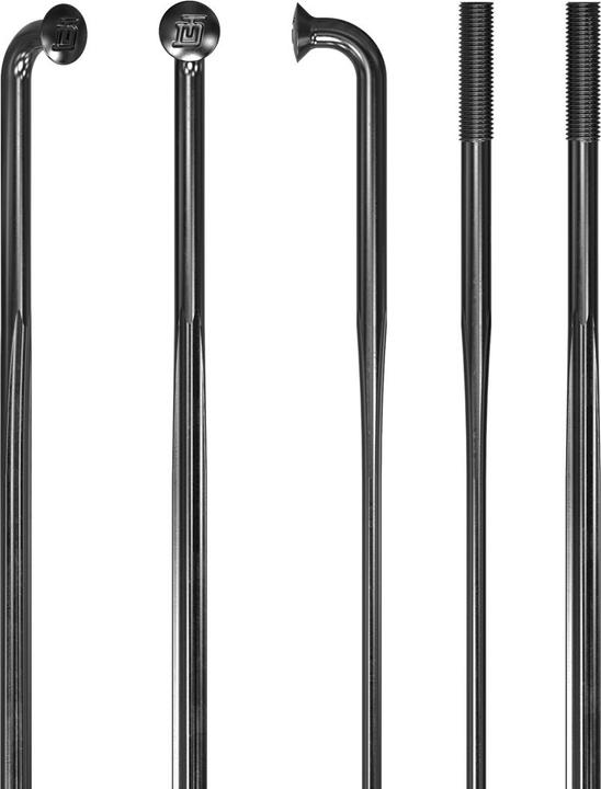 Actual product image DT Swiss Revolite