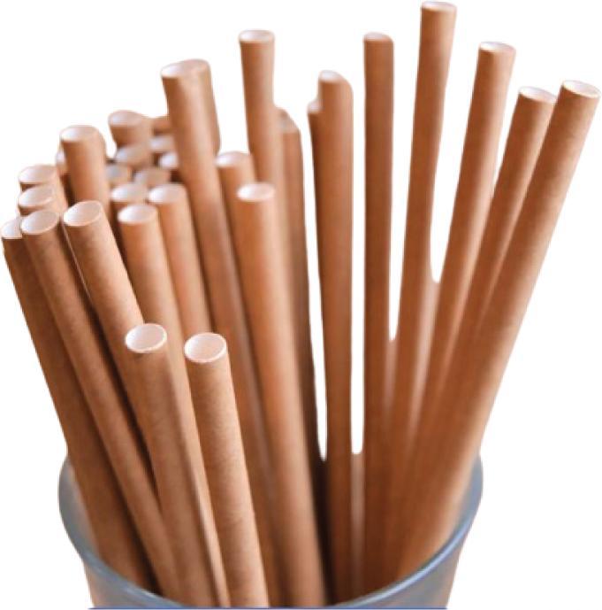 Image du produit Team Bio Paille Papier (400 x)