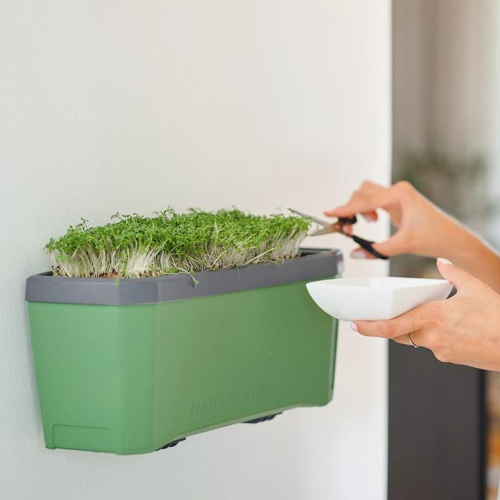 Actual product image Gusta Garden Kräutertopf HARRY HERBS mit Haube, Weiss (35.80 cm)