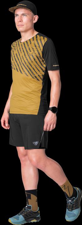 Actual product image Dynafit Alpine Shirt Herren (M)