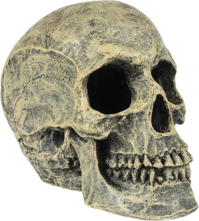 Produktbild EBI Aqua Della Skull Head (sonstige Gegenstände)