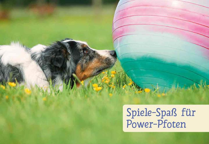 Immagine prodotto Spiele und Action für ausgeglichene Hütehunde (Tedesco, Marion Albers, 2023)