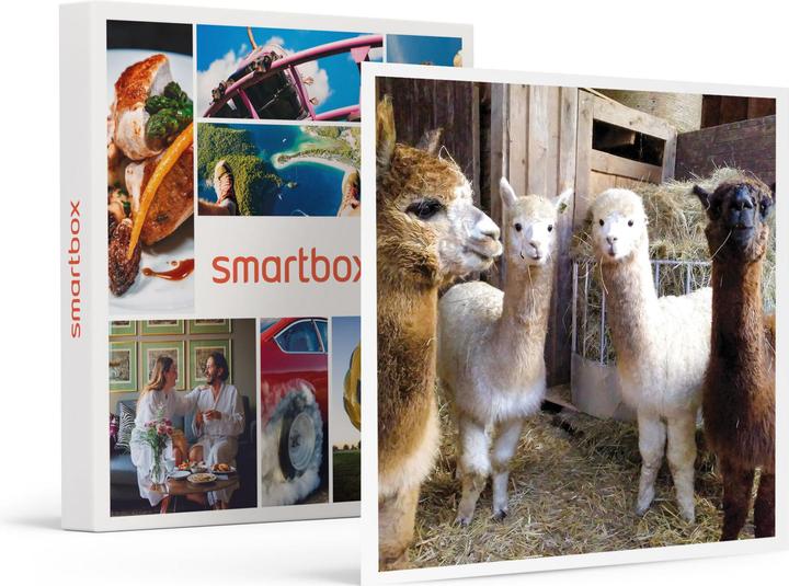 Produktbild Smartbox Spannender Familienausflug zum Erlebnisbauernhof nahe Stuttgart (4 Pers.)