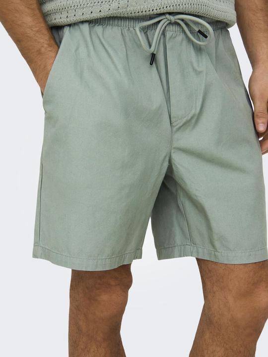 Produktbild Only & Sons ONSTEL Normal geschnitten Shorts Shorts (L)