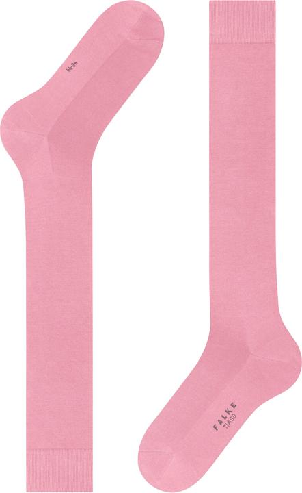 Actual product image Falke Tiago KH (Single pack, 39 - 40)