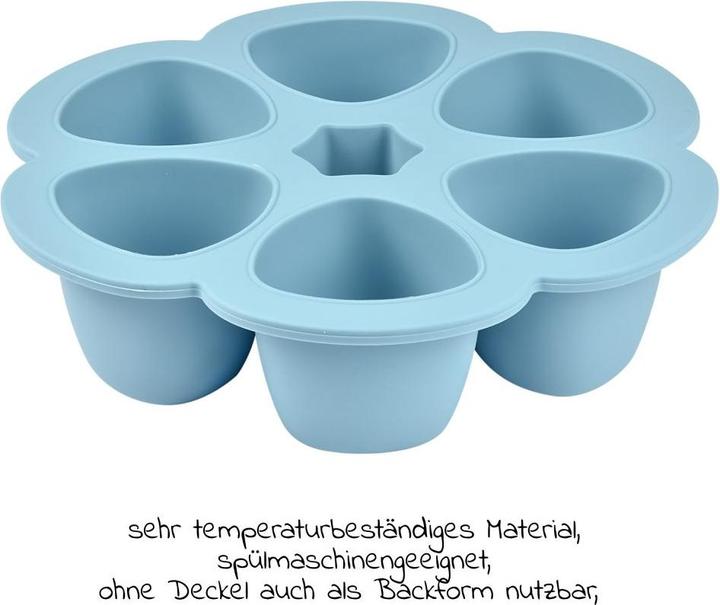 Actual product image Beaba Multiportions