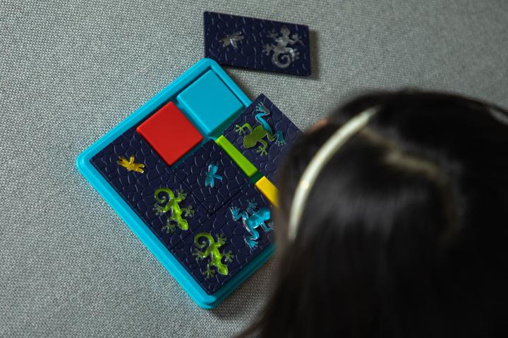 Actual product image Smart Games Puzzle game Colour Catch (English, Italian, Multilingual, French)