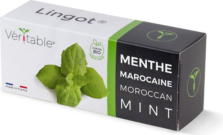 Productafbeelding Véritable Marokkaanse munt (Plant zaden)