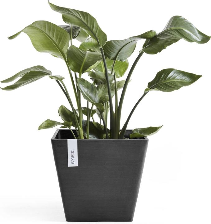 Produktbild Ecopots Rotterdam (40 cm)