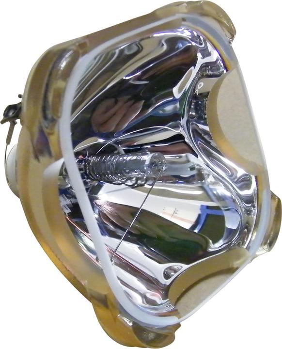 Philips Replacement lamp for SONY LMP-H202 (VPL-HW55ES, VPL-HW30ES SXRD, HW50, VPL-HW30, VPL-HW40, HW30ES, VPL-HW30ES, VPL-VW95ES, VPL-HW40ES, HW50ES, VPL-HW50ES)
