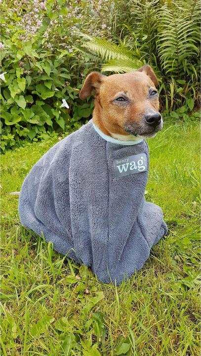 Image du produit Henry Wag Serviette pour chien (Chien)