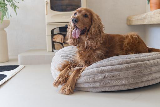 Productafbeelding Designed by Lotte Reza ligkussen (Hond)