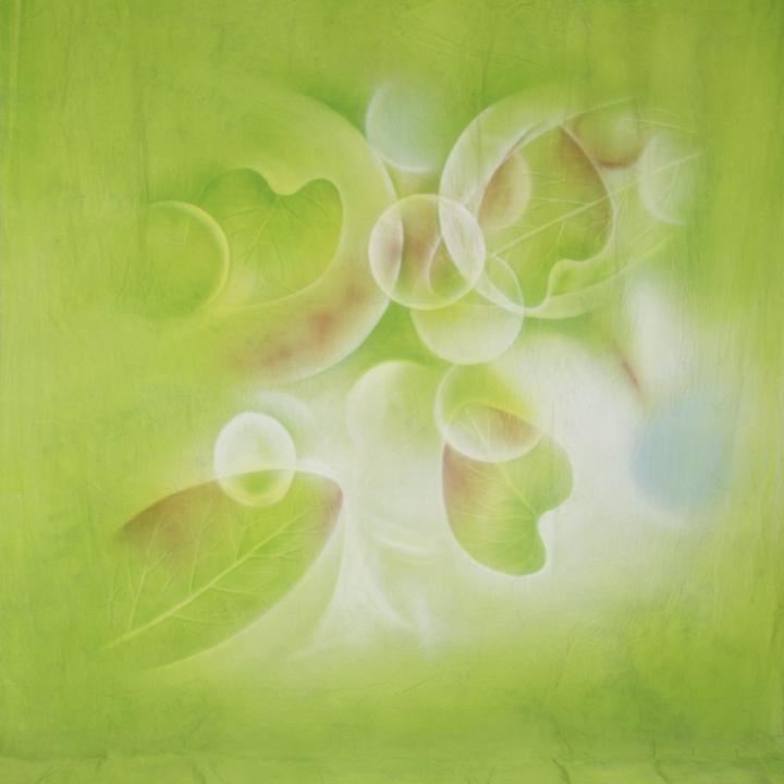 Produktbild Walimex pro pro Motiv-Stoffhintergrund 'Fresh' (300 cm, 600 cm)